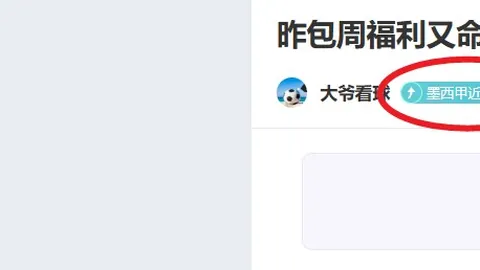 萨利巴锁定未来最佳后卫，图拉姆与莱奥在意甲无人能敌