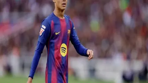 荷兰国家队确认：廷伯因健康问题将缺席西班牙之战